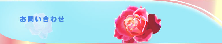 �ԃN���j�b�N ���₢���킹